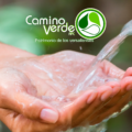 Actividades AGA